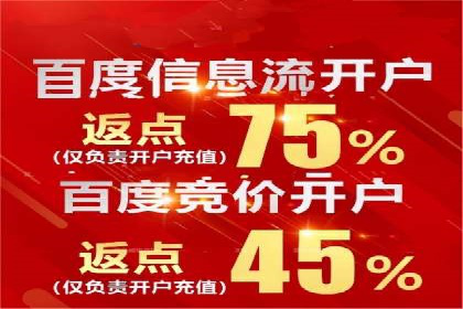 行业领先企业的SEM代运营经验分享
